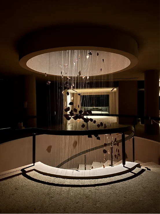 Aspenlumiere - Infantino 4